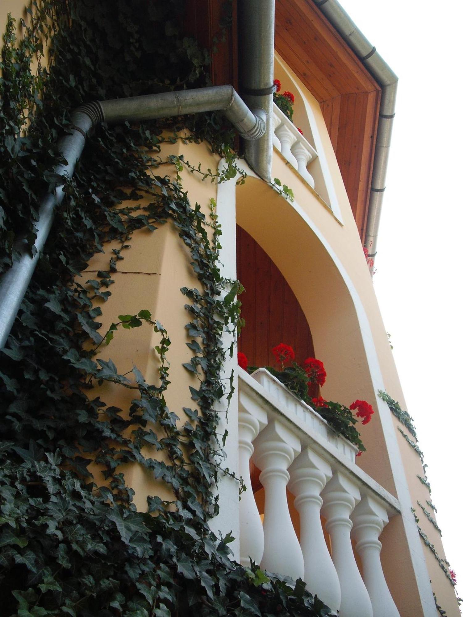 Ilona Kis Kastely Panzio Hotel Keszthely Buitenkant foto
